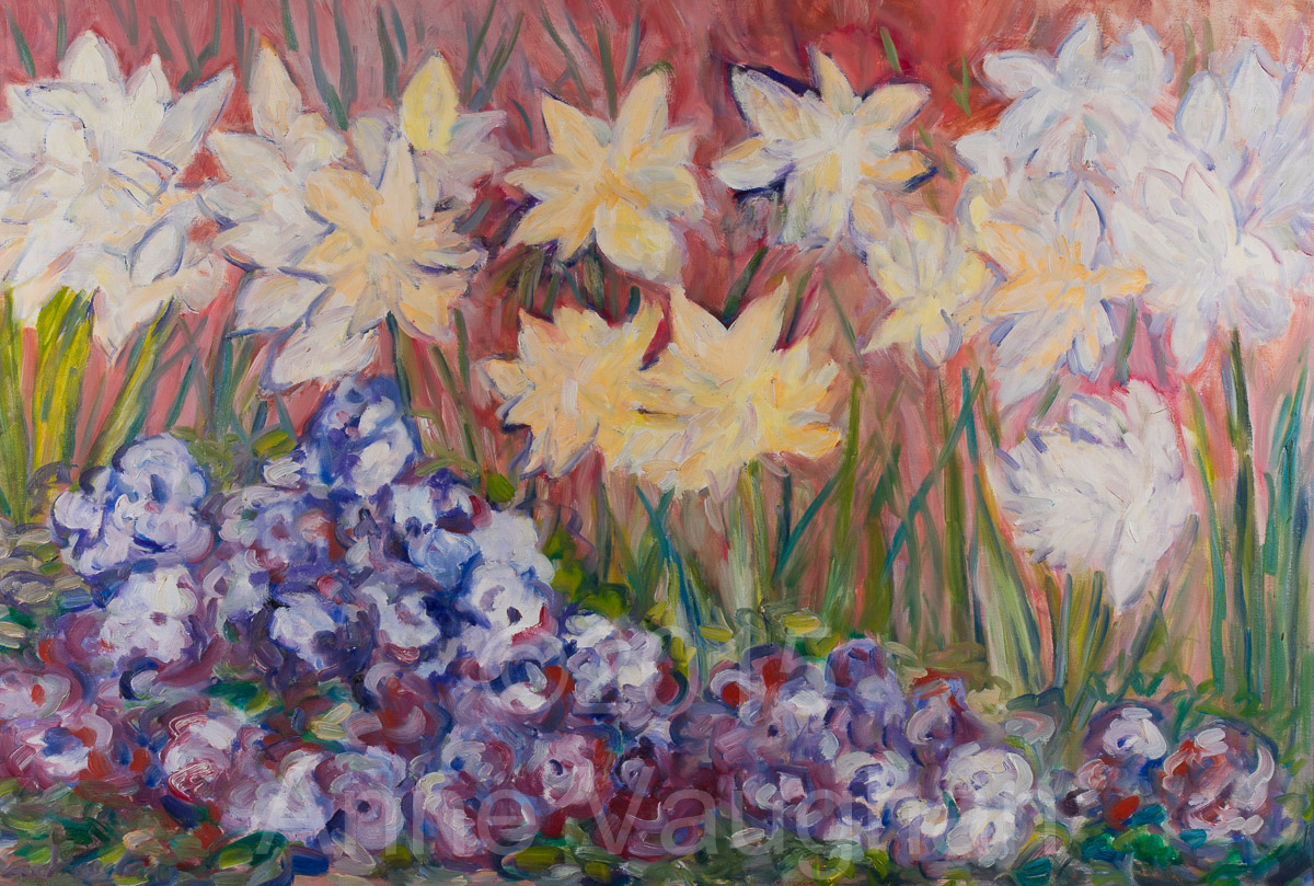 Backyard Daffodils and Pansies